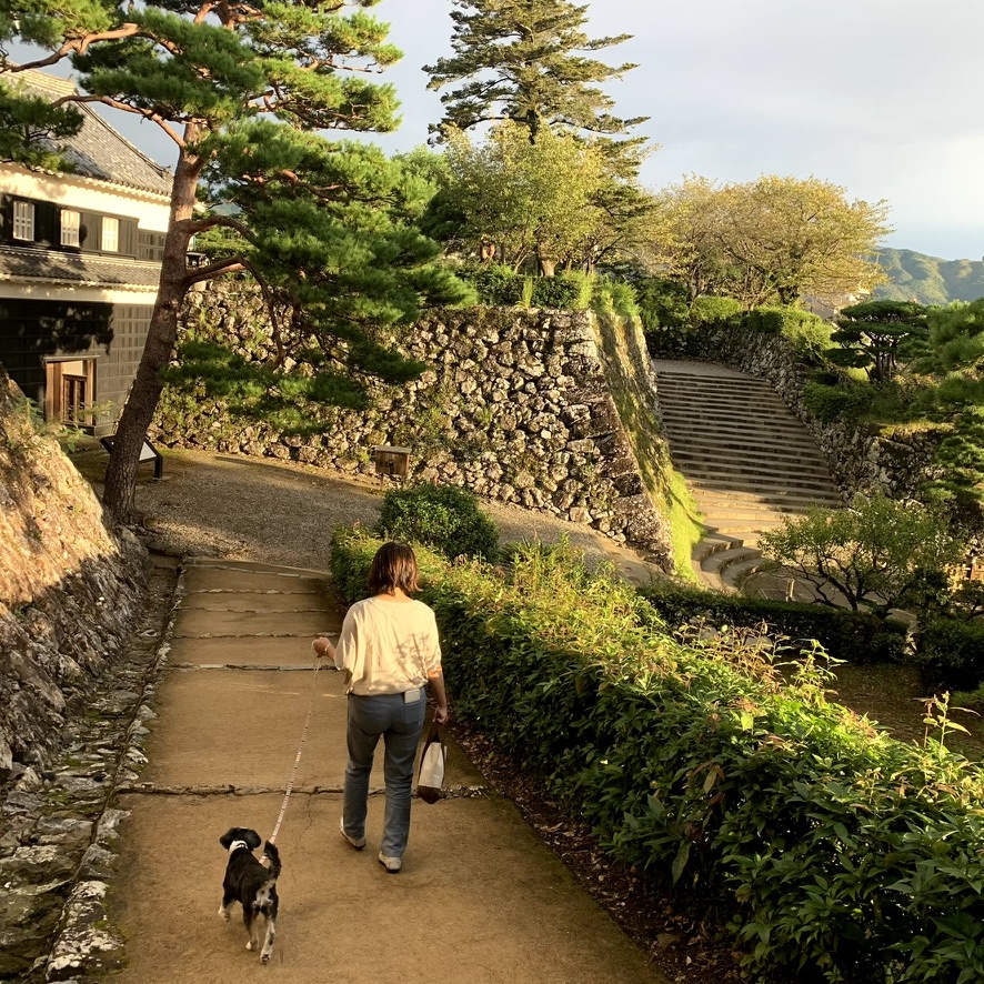 高知城を犬と散歩