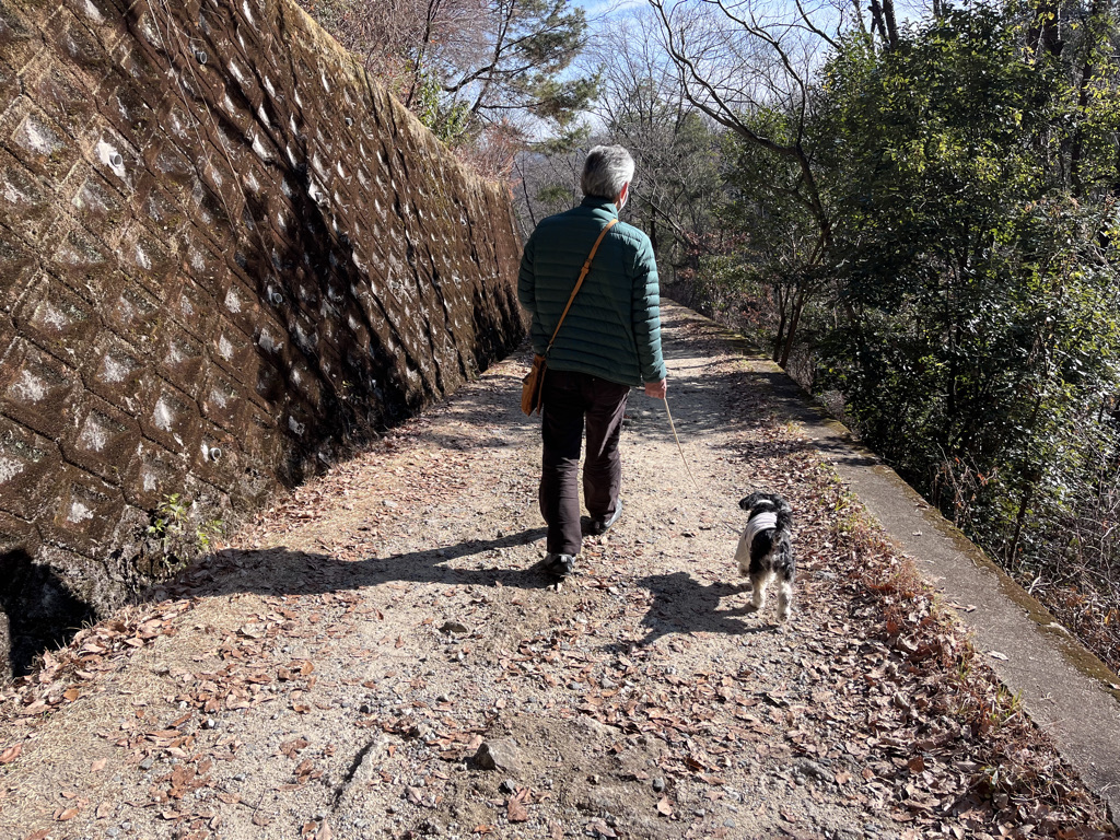ほしだ園地の管理道を歩く人と犬